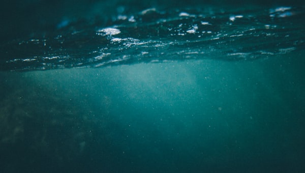 Underwater camera capture